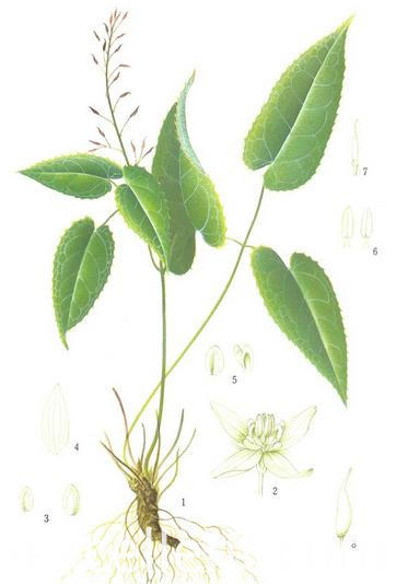 1 1